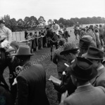 Ripon Races, 1949